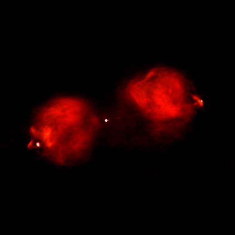 澳大利亚ATAC射电望远镜阵获取的绘架座A星系射电影像