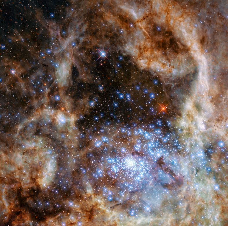哈勃望远镜拍摄的蜘蛛星云中心区域，偏右下的密集星团正是R136。蜘蛛星云位于大麦哲伦云内。