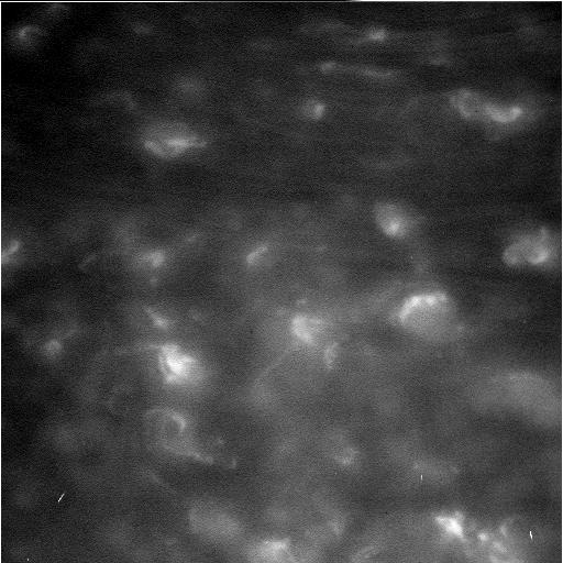 4月26日首次成功穿过土星环与土星之间的巨大间隙后，卡西尼号飞船已经发回了首批图像，是目前最近距离的土星大气层画面。穿越时，飞船距离土星顶部的云层不到3000公里，距最内侧土星环边缘不到300公里。 在完成22次类似的飞行后，这艘在太空已经飞行近20年的飞船轨道将渐渐深入土星大气，直到化作土星的一部分以此宣告任务的终结。而这一天将于今年的9月15日到来。