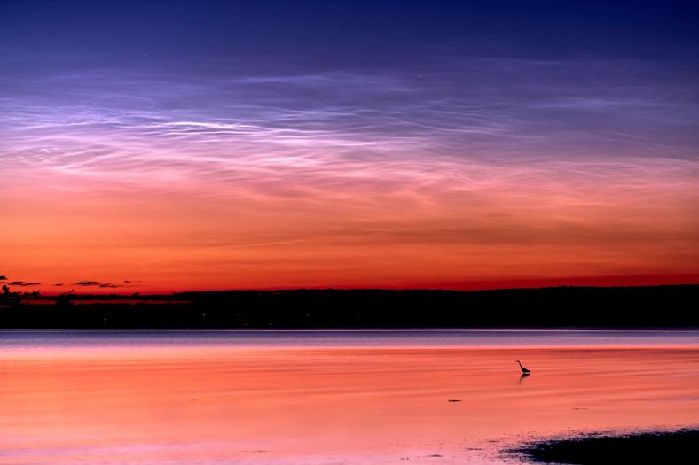 2016年6月12日，丹麦西北部一处海湾上空正缓慢形成的夜光云。海滩浅水区内，还捕捉到一只苍鹭的身影。