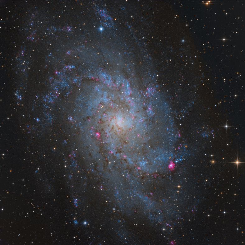 螺旋星系M33，远在300万光年之外，位于三角座方向。因为外形独特，也被称为风车星系。它是本星系内排在银河系和仙女星系之后的第三大星系