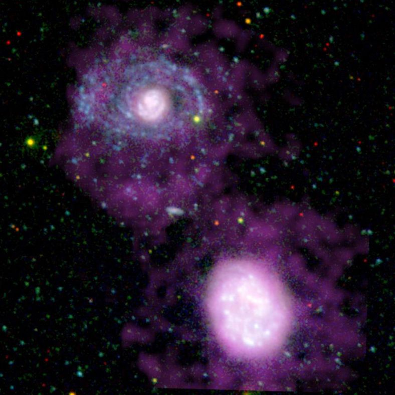NGC 4625(左上)与骚扰它的伴星系 NGC 4618（右下），这是一幅光学、紫外线及射电信号的合成图像 