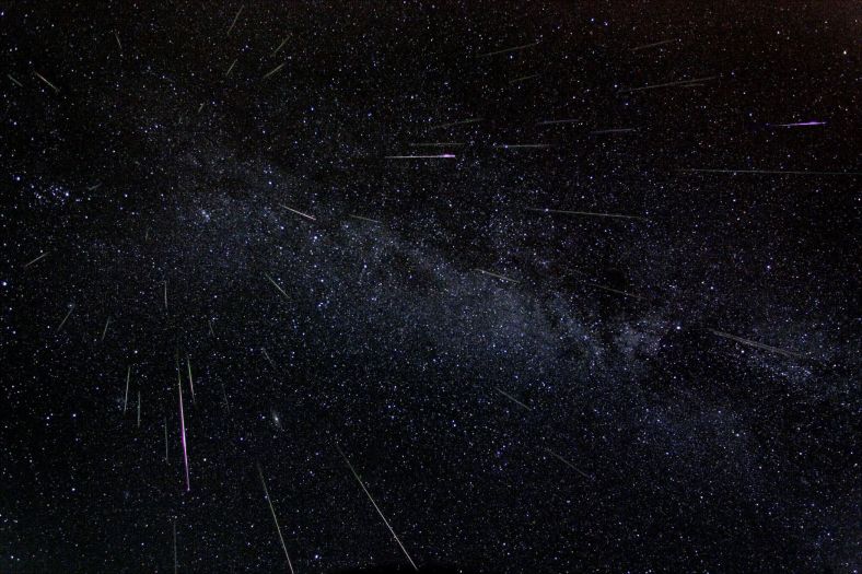 2004年的英仙座流星雨的合成画面，记录下51颗流星划过夜空的情景 