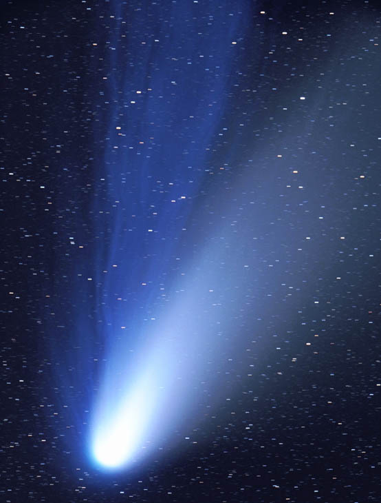 海尔-波普彗星的尘尾和离子尾