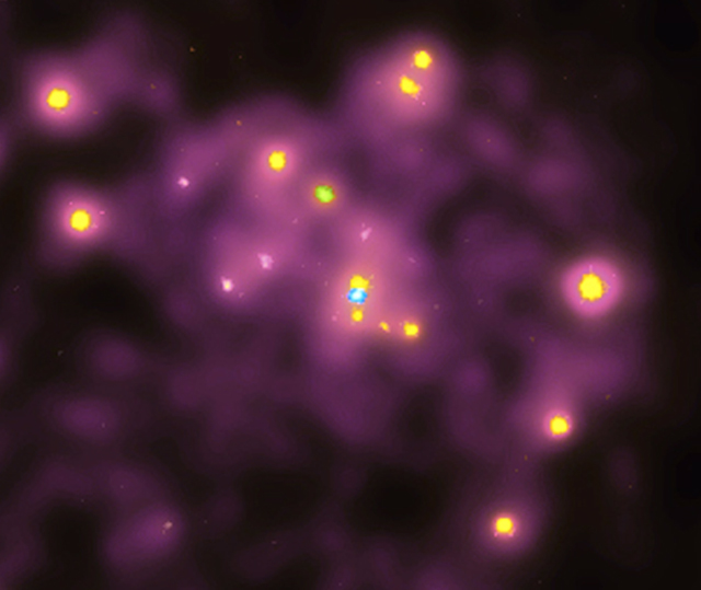 仙女座大星系的Ｘ光照片