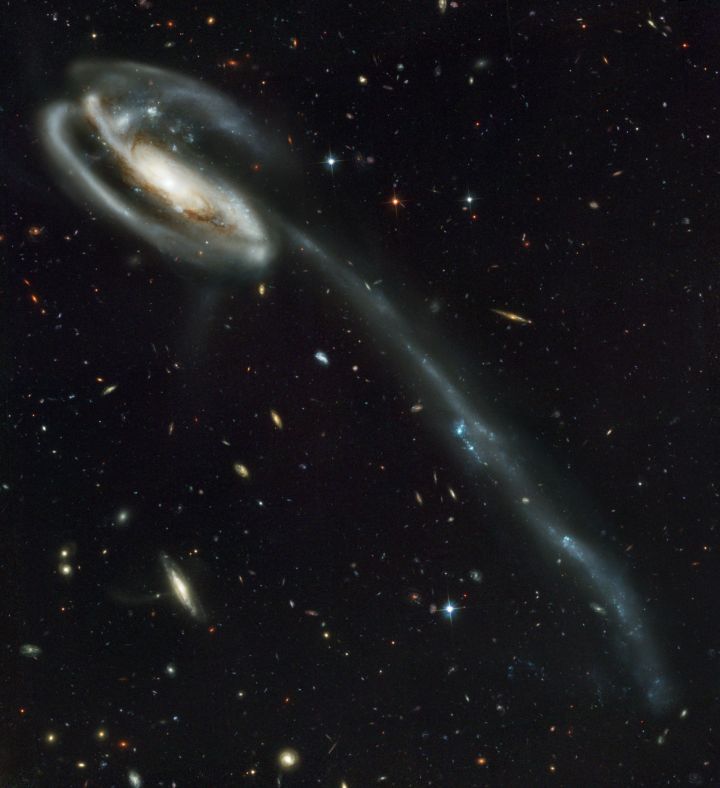 星系 Arp 188和它蝌蚪状的尾巴