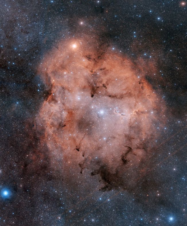 仙王座的IC 1396