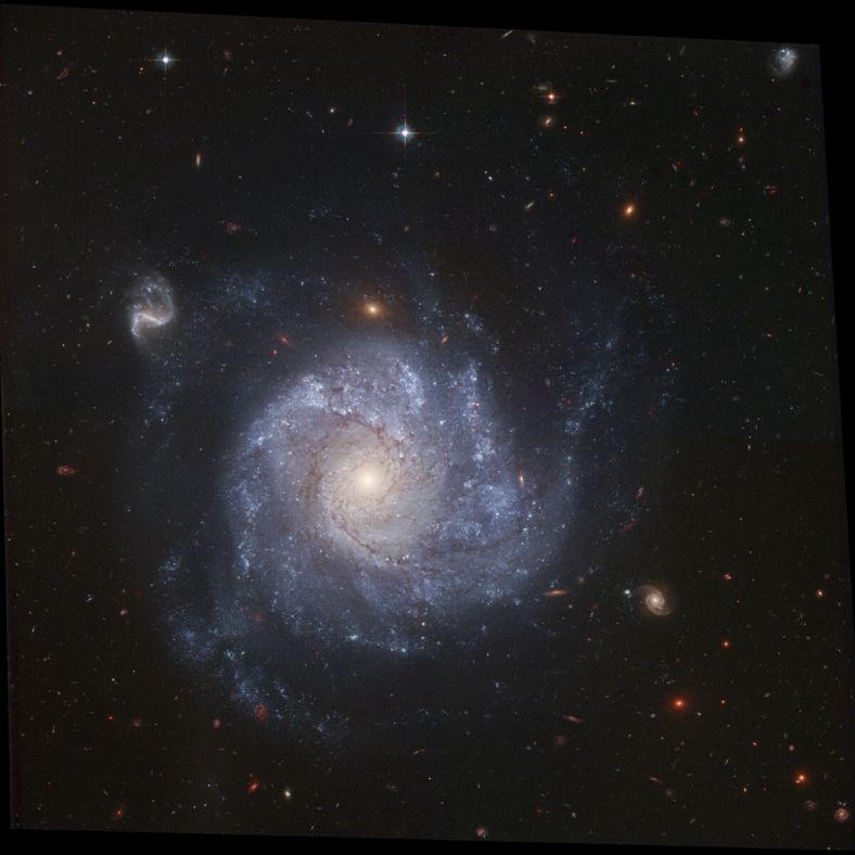 NGC 1309和它的同伴星系