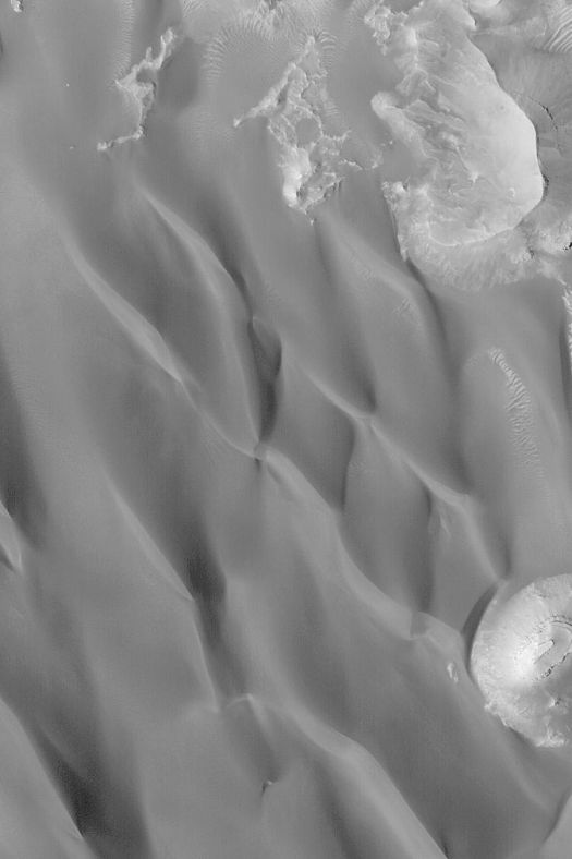 火星上的阴暗沙丘（火星全球勘探者摄）