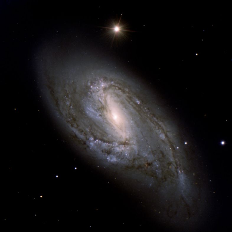M 66 (NGC 3627)