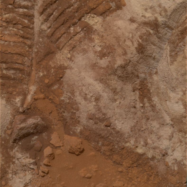 火星上富含硫的岩石和表面物质