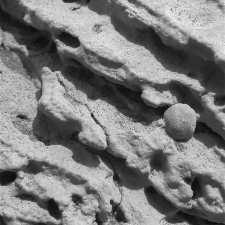 裸露的火星岩床显微照片