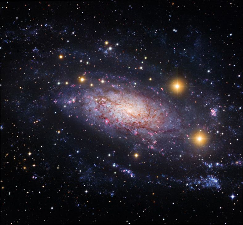 NGC 3621: 本星系群後方遠處的星系  