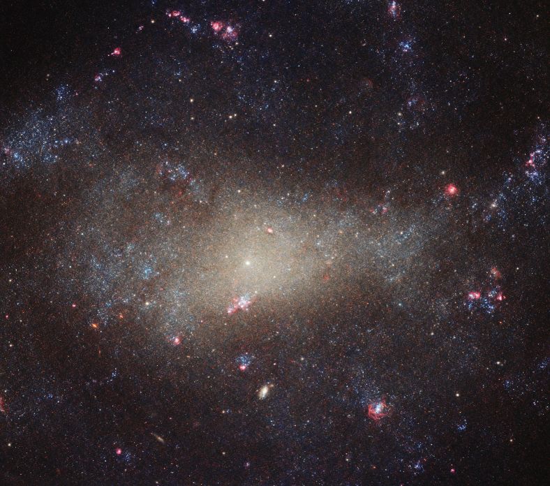 猎犬座里黯淡星系NGC4242