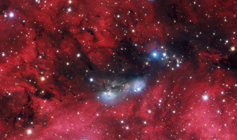 NGC 6914复合体 