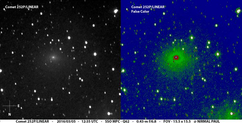 绿色彗星252P光临地球（澳大利亚）
