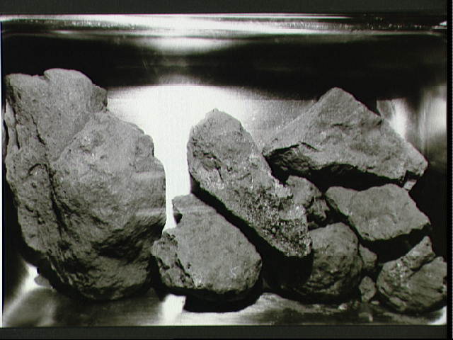 阿波罗11号宇航员从月球带回来的月球岩石